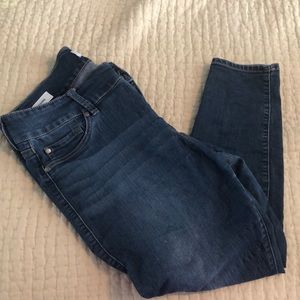 Torrid Jegging Jeans